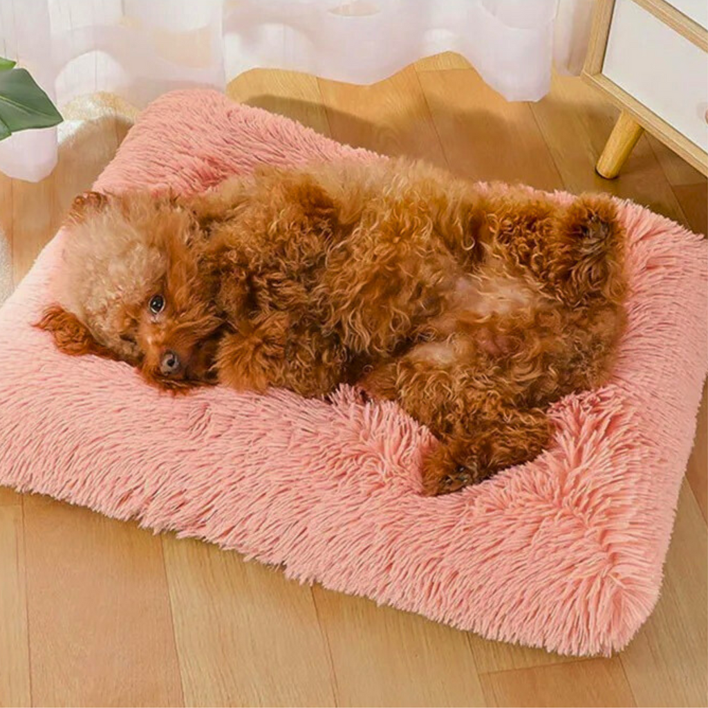 Tapis moelleux pour chien – Modèle Douceur | Le Chenil