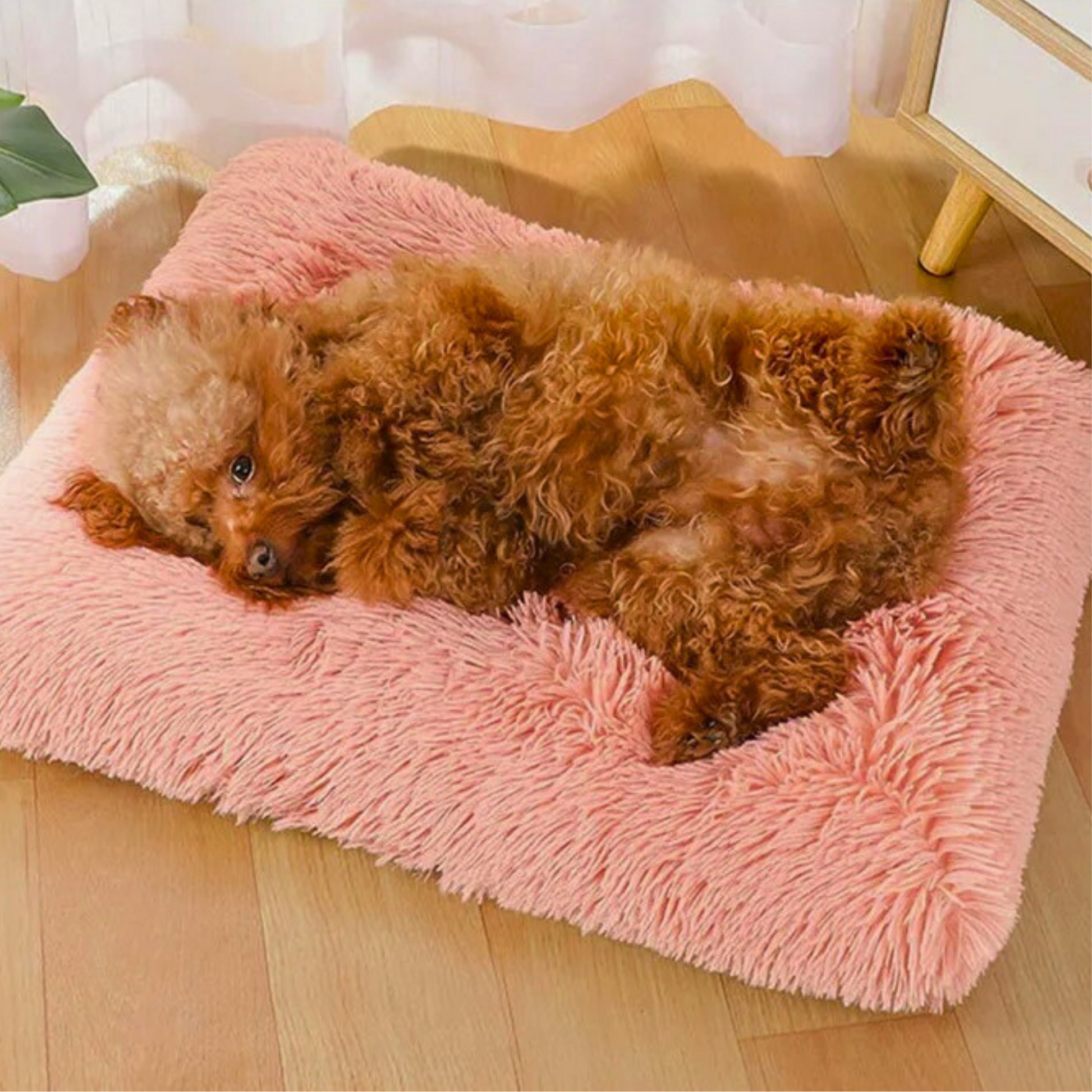 Tapis moelleux pour chien – Modèle Douceur | Le Chenil