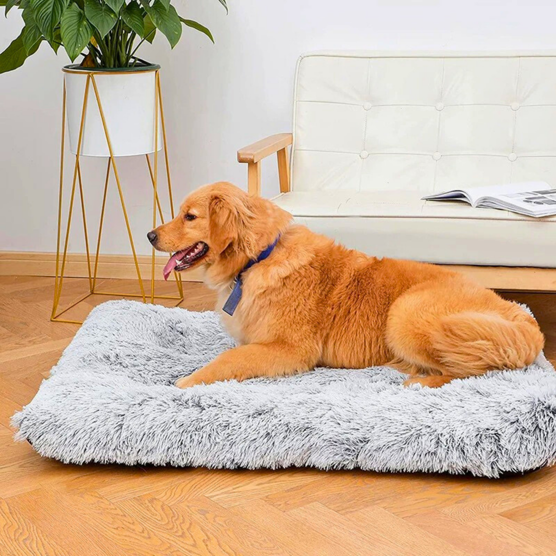 Tapis moelleux pour chien – Modèle Douceur | Le Chenil