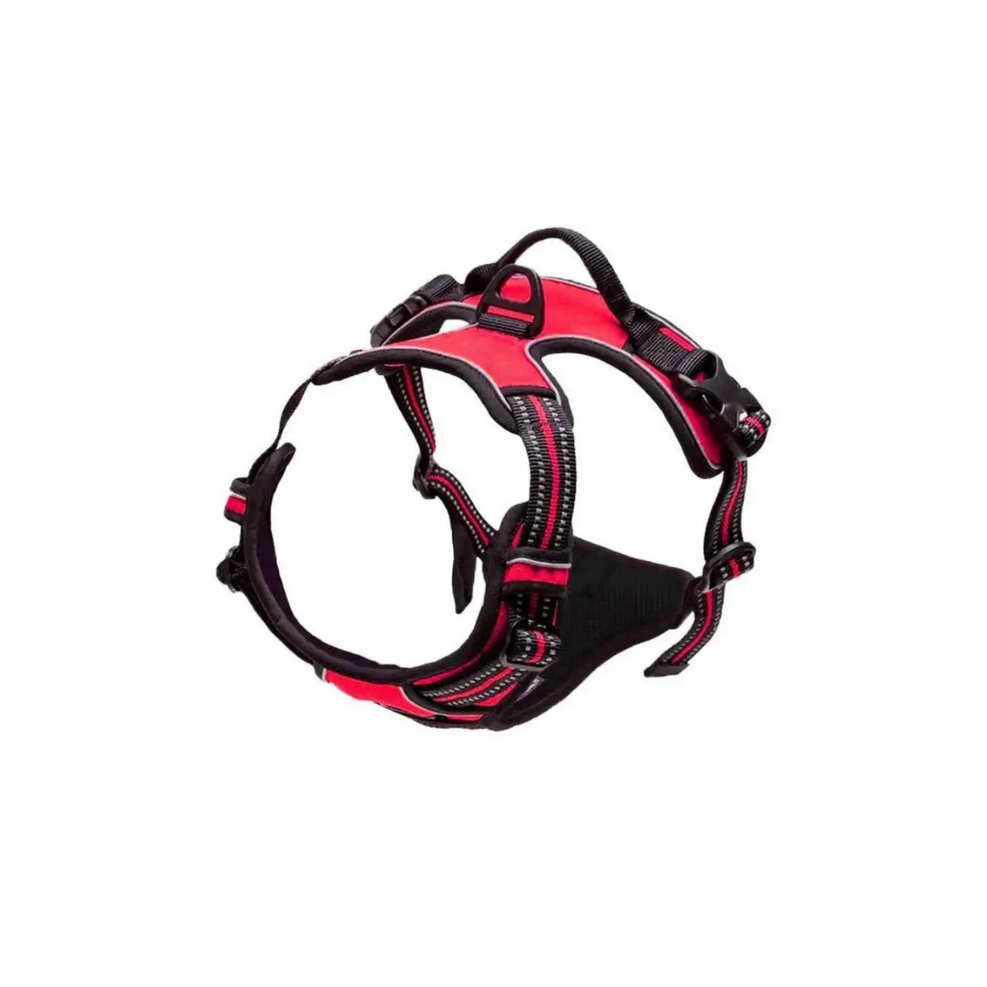 Harnais pour chien réglable anti-traction – Confort et sécurité