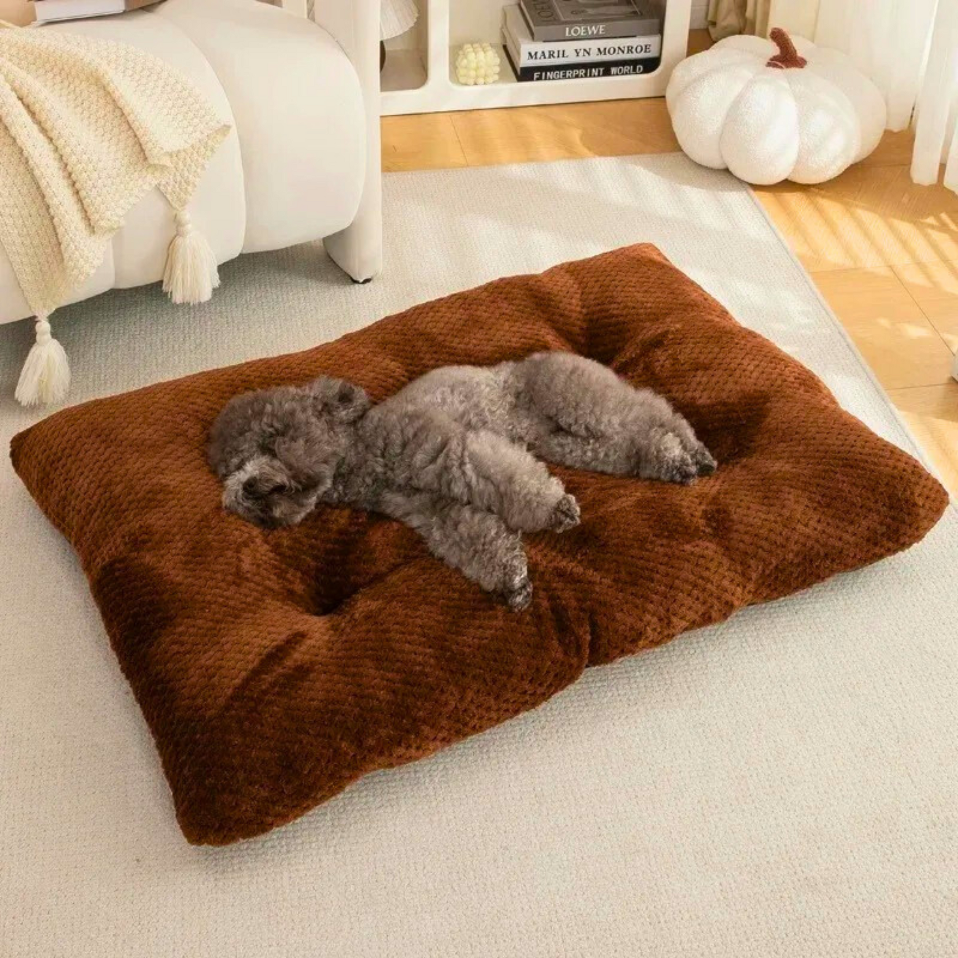 Lit pour chien lavable en tissu doux – Modèle Signature | Le Chenil