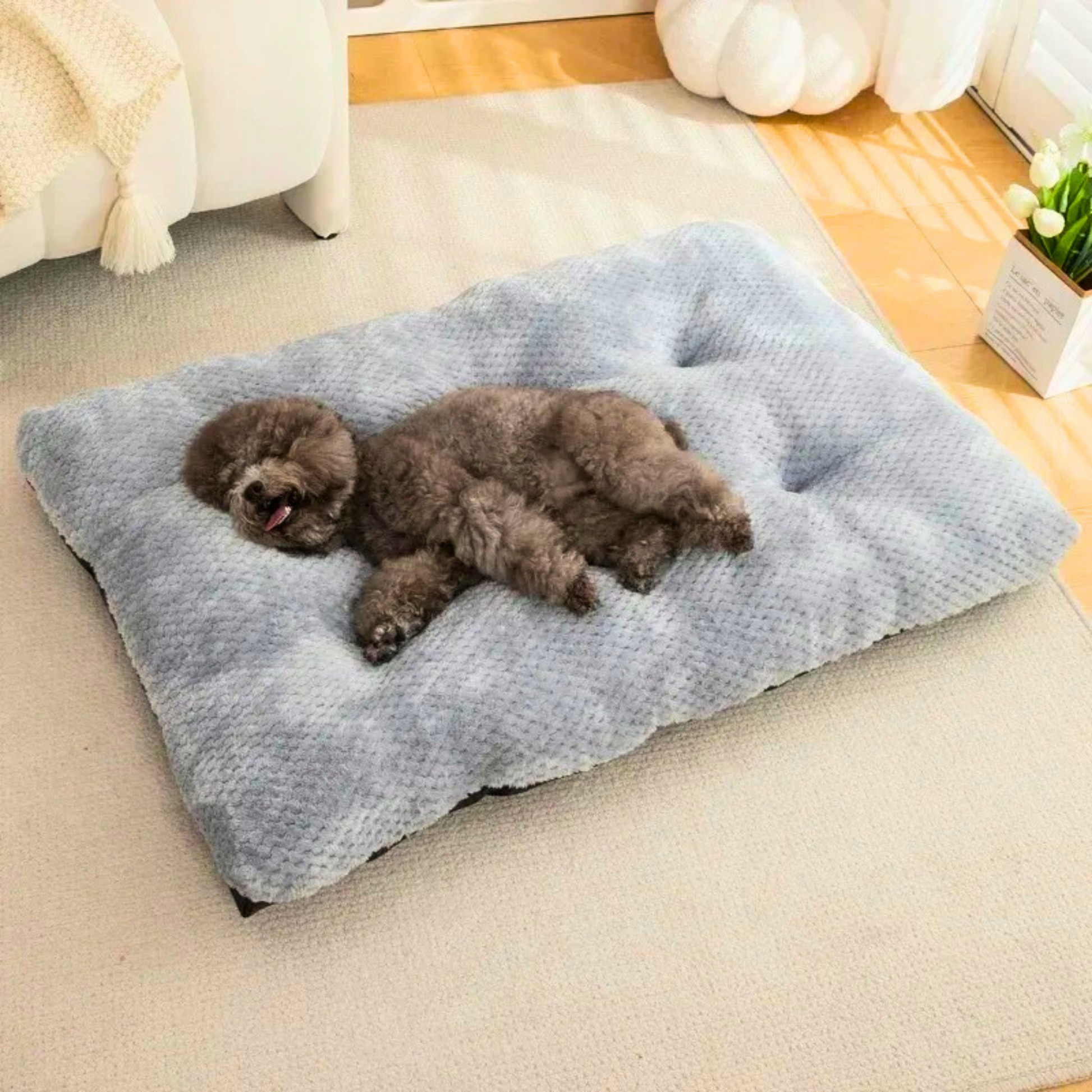 Lit pour chien lavable en tissu doux – Modèle Signature | Le Chenil