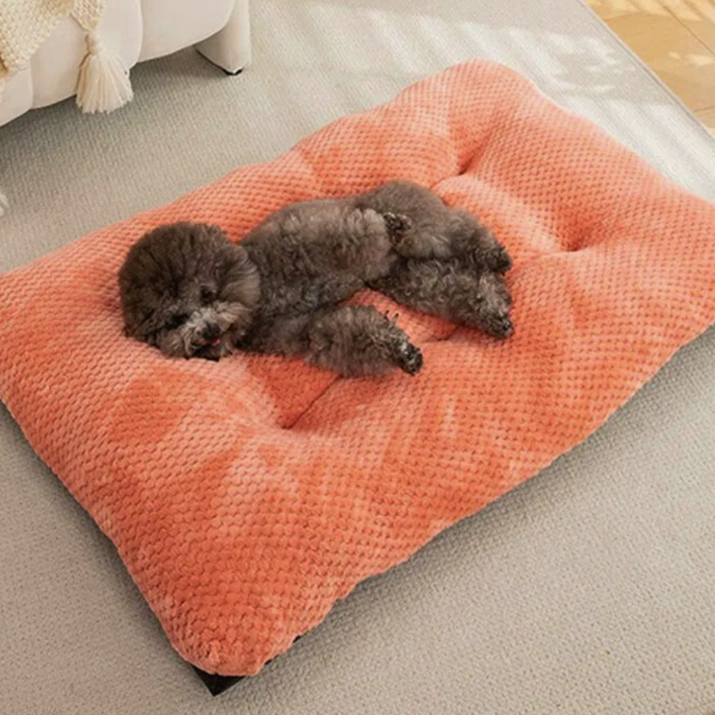 Lit pour chien lavable en tissu doux – Modèle Signature | Le Chenil