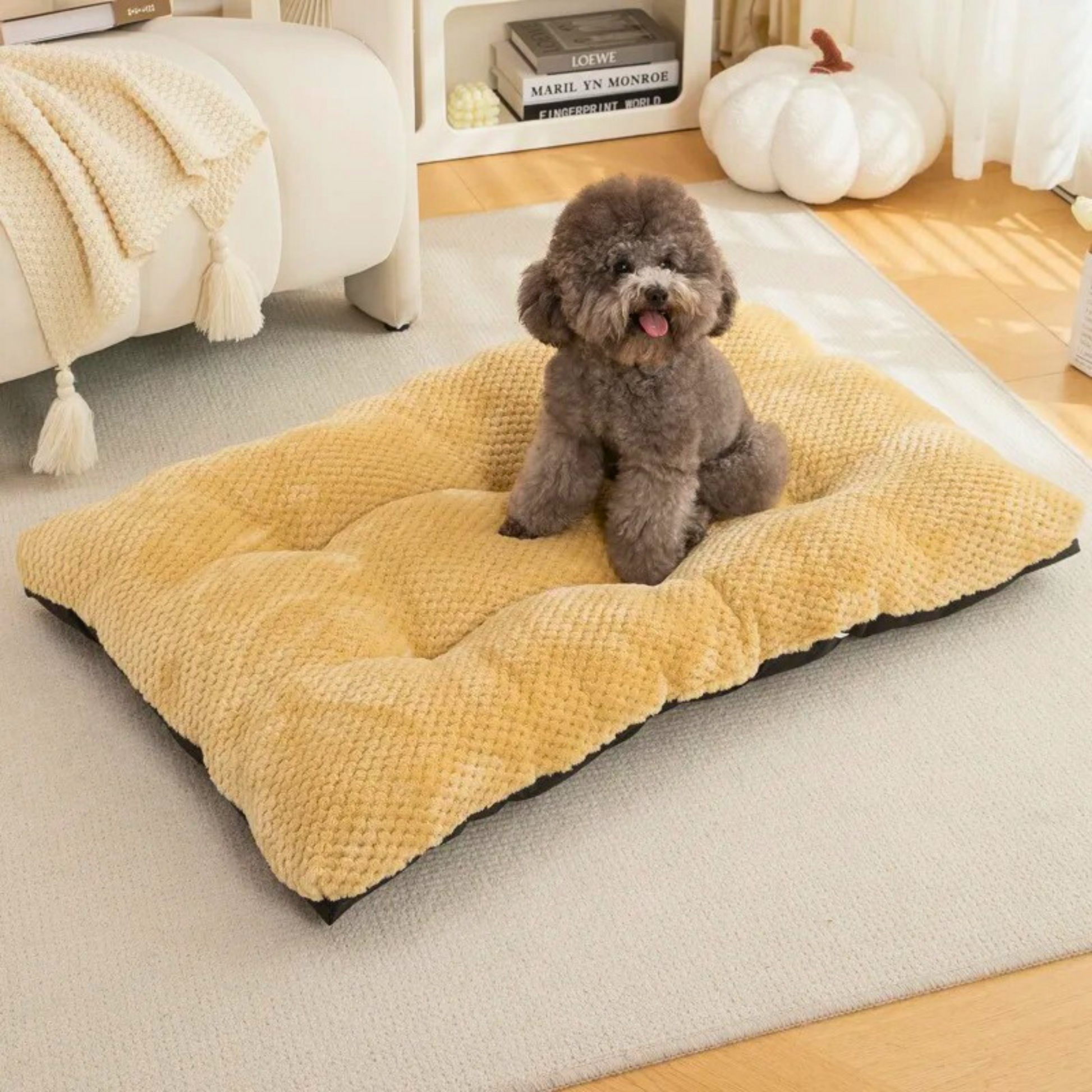 Lit pour chien lavable en tissu doux – Modèle Signature | Le Chenil